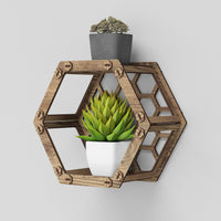 Thumbnail for Hexagon (with back) Wall Shelf