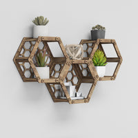 Thumbnail for Hexagon (with back) Wall Shelves [3pcs set]