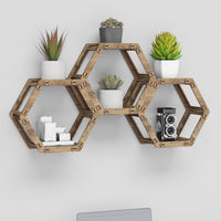 Thumbnail for Hexagon Wall Shelves [3pcs set]