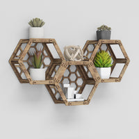 Thumbnail for Hexagon (with back) Wall Shelves [3pcs set]