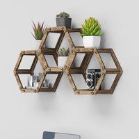 Thumbnail for Hexagon Wall Shelves [3pcs set]